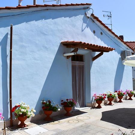 Villino La Perla Azzurra- Marina Di Pisa Villa Bagian luar foto