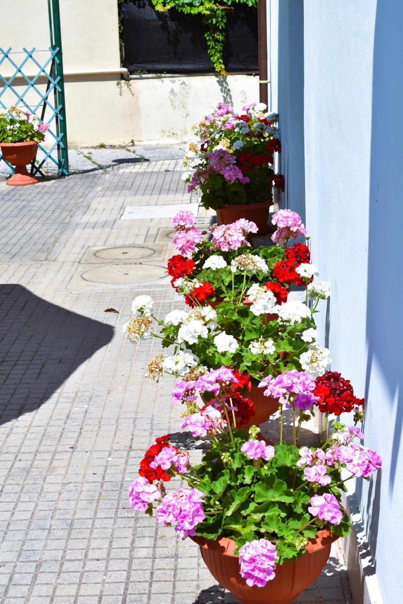 Villino La Perla Azzurra- Marina Di Pisa Villa Bagian luar foto